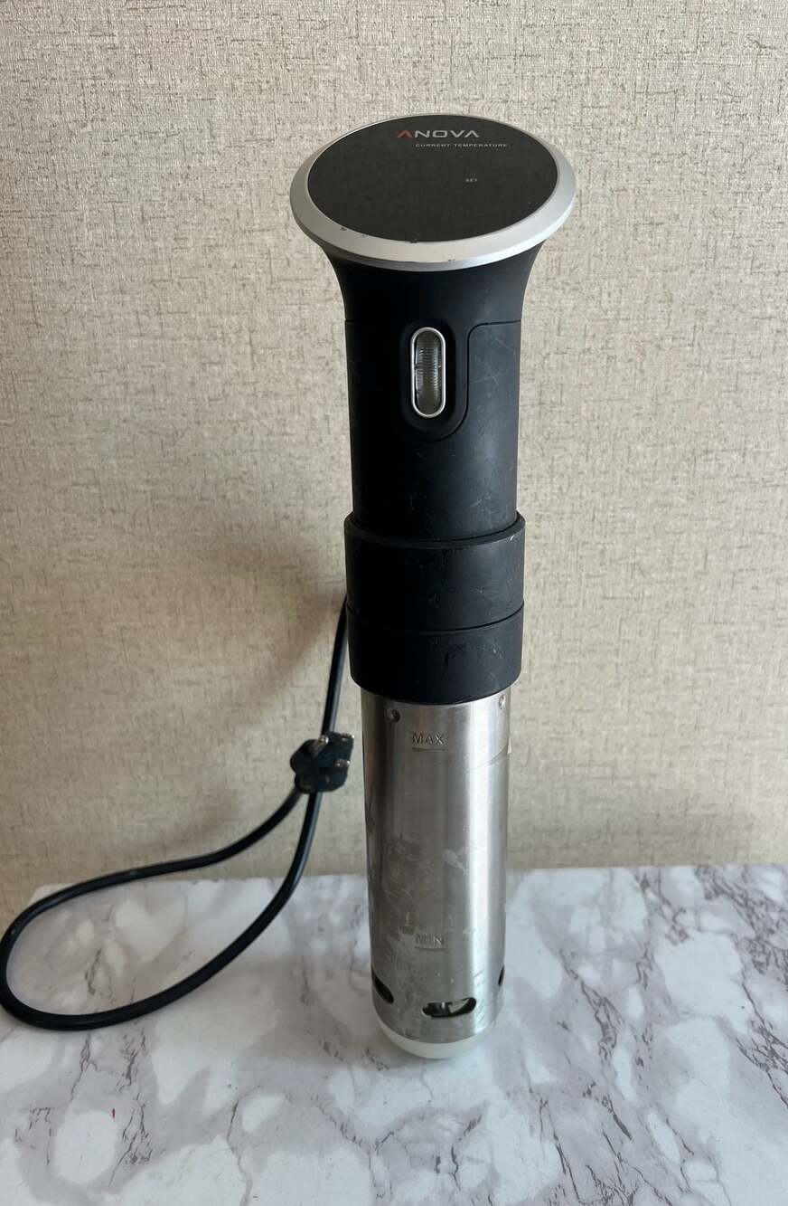 Anova PC 900W Bluetooth Culinary Sous Vide Precision Immersion Slow Cooker